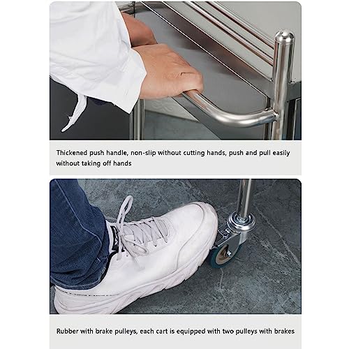 Carro médico de acero inoxidable – Carrito de laboratorio rodante de 2 niveles, capacidad de carga de 100 kg, duradero y versátil para clínicas, hospitales, equipos de fácil movilidad