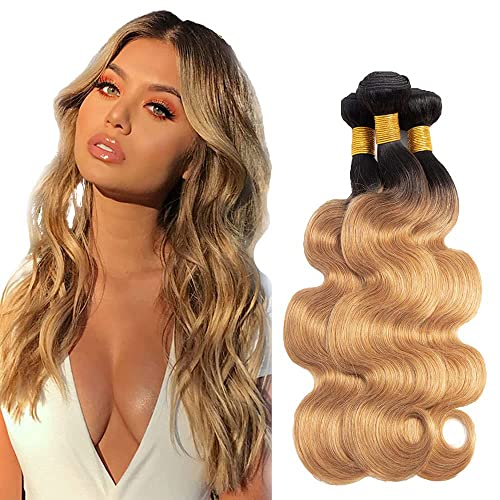 ZhengPu 1b/27 Bundles Honey Blonde Body Wave Peruvian Human Hair Wefts Ombre Two Tone Ombre Body Wave Bundles 3 Bundles 8 10 12 Inch 100% Unprocessde Virgin Remy Human Hair Extentions Ombre Cheap Bundles