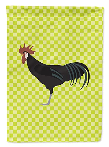 Drapeau de jardin Caroline's Treasures BB7667GF résistant aux intempéries
