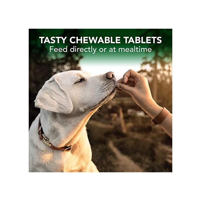 Vet's Best Immune Support Dog Supplement| Promotes Healthy Immune System & Seasonal Allergy Relief | 60 Chewable Tablets - Image 4