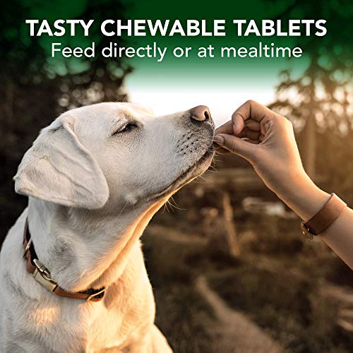 Vet's Best Comfort Calm Calming Dog Supplements - Fördert Entspannung und ausgewogenes Verhalten (60 Tabletten)