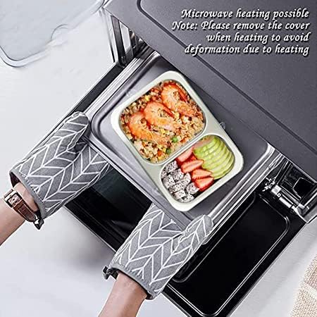 Image of Brand Conquer Lunch Box Leak-Proof BPA Free Stainless Steel for School, Lunch Box for School & Office with a Fork, a Spoon and a Pair of Chopsticks (Blue, 2 Compartment)