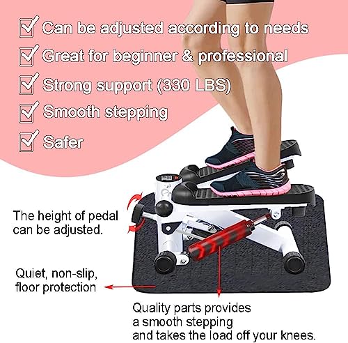 Aparatos De Gimnasio, Home caminadora escaladora y disco Marca CHEELOM (3)