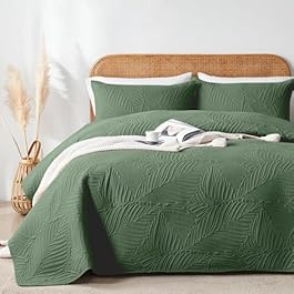 OARAGE Queen Quilt Bedding...