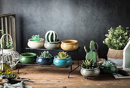 Succulent Pots With Stand Holder Modern Decorative Ceramic Flower Planter Plant Pot 3Pcs Home Office Desk Garden Mini Cactus Pot Indoor Decoration For Plant Lovers Unique Gifts Ideas For Mom Men #TOP6