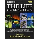The Life Collection: David Attenborough (24 Disc BBC Box Set) [DVD]