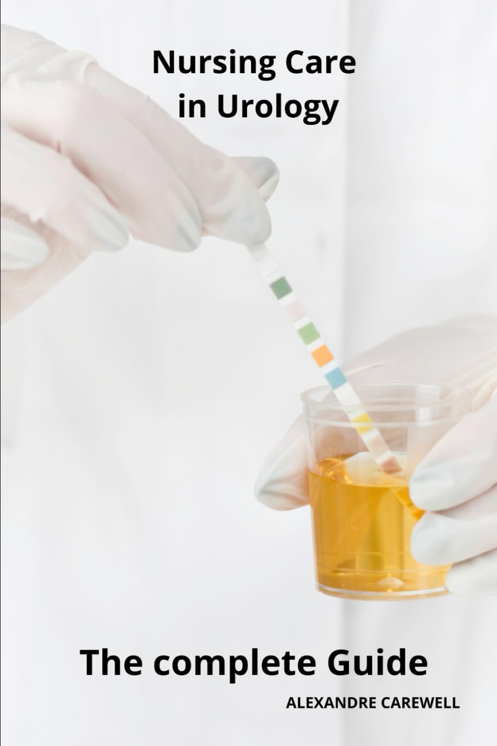 Nursing Care in Urology The complete Guide