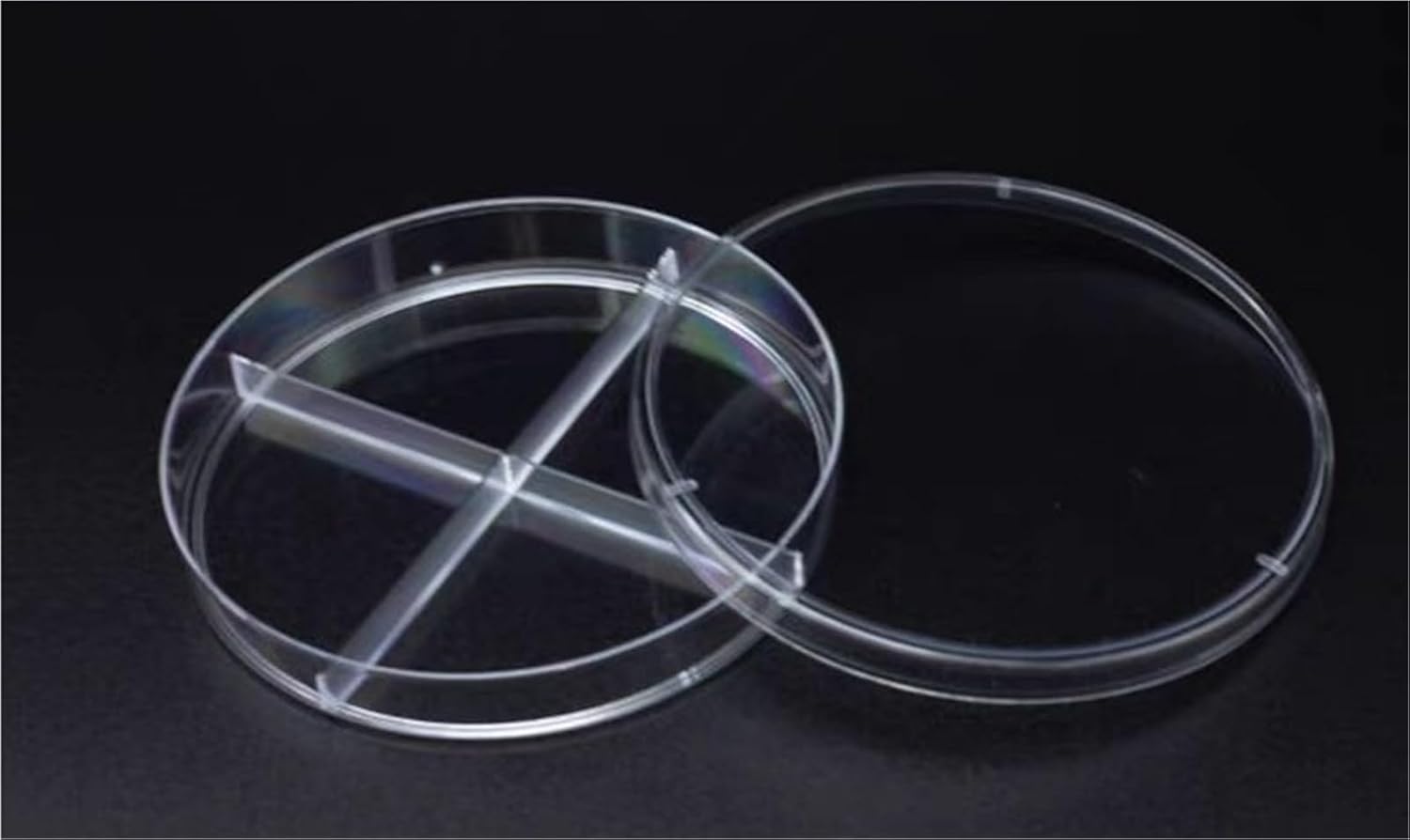 20 Pcs/Pack Lab Disposable Sterile Plastic Petri Dish Culture Plate Bacteria Yeast (13x13cm Option-1)