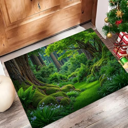 Tapis de porte entrée vert sauge pour maison et extérieur - 3