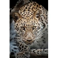 ショップ 【B2サイズ（約51x73cm）】【lm-poster-56】【フレーム付き