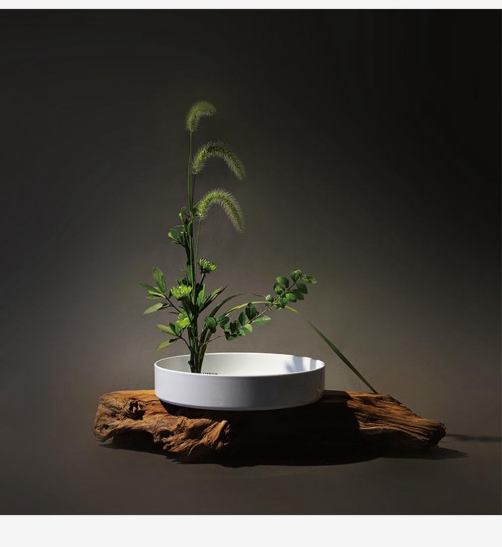Amazon.co.jp: 花器 水盤 花瓶 盆栽鉢 プラスチック製 生け花用