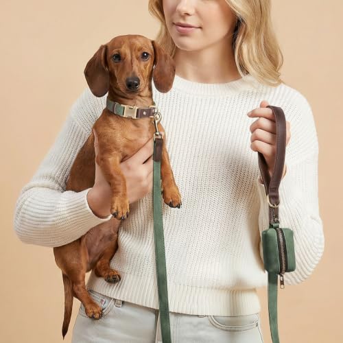 PU Leather Dog Collar for Small Dogs Puppy, Soft Lining, Green S | All-day Comfort for Daily Walks and Backyard Play, Quick Release Metal Buckle for Easy On & Off, D-Ring for Leash, Easy Clean - Image 3