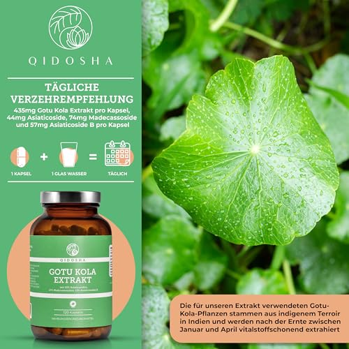 QIDOSHA® Gotu Kola 60:1 Extrakt, höchster Wirkstoffgehalt mit 10% Asiaticoside, 17% Madecassoside, 13% Asiaticoside B, 120 Kapseln im Apothekerglas, Indischer Wassernabel, Tigergras