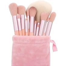 13 Pcs Pink Makeup Brush Set with Cosmetic Bag &ndash; Soft &amp; Fluffy Brushes for Foundation, Contour &ndash; Cute Pink Beauty Brush Kit Perfect for Women &amp; Beginners
