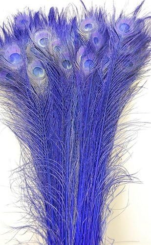 50 Pcs Bleached & Dyed Peacock Feathers 30"-35" for Home Decore Vases Bridal Wedding Centerpieces (Orange)