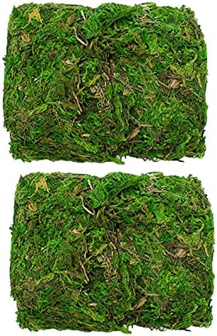 TRIXES 100g Decorative Dried Green Moss Perfect for Plants & Flower Arranging or Wreath Making  Plant Terrariums or Reptile Cages