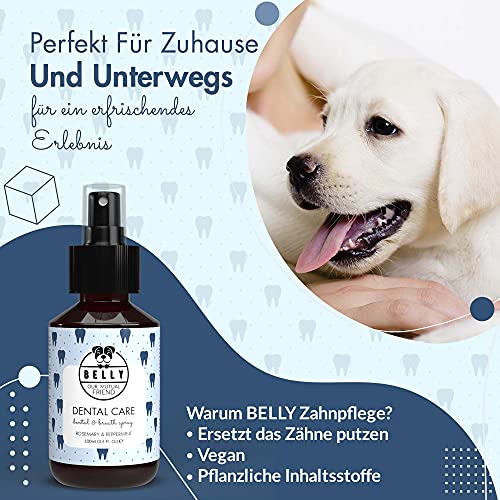 Belly® Dentalspray für Hunde -100ml- Frische Minze - Kein Spülen oder Bürsten - Beseitigt Mundgeruch - Zahnpflege Hund - Anti Zahnstein und Mundgeruch Hund, Dentalspray für Katzen