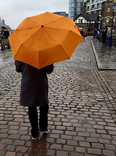 Lewis N. Clark Travel Umbrella Windproof & Water Repellent Fabric, Automatic Open Close & 1 Year Warranty, Orange #TOP6