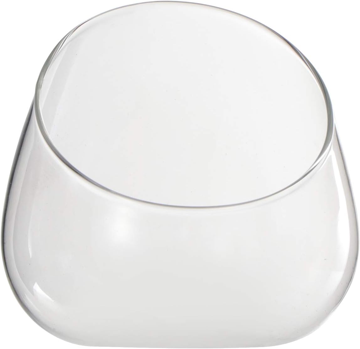 Yardwe Slant Cut Bowl Glass Vase Clear Bubble Bowl Slanted Globe