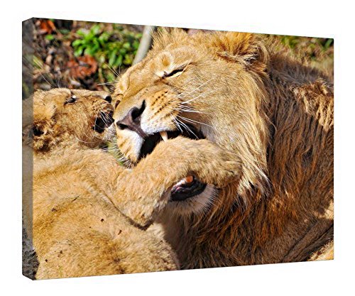 Toile murale lion prête à accrocher pour relooker un mur vide sans effort