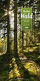 hochformat powerpoint einzelne folie  Mythos Wald Kalender 2021, Wandkalender im Hochformat (33x66 cm) - Naturkalender / Literaturkalender mit Zitaten