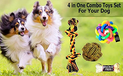 BLACKDOG Toys for Puppies Chewable Rope Teething Playing Interactive Toys Two Knot Rope Toys Cotton Rope Ball Colourful Rainbow Ball Aggressive Puppies Toys 4 in 1 Combo (Buy One Get one Chew Bone) 3