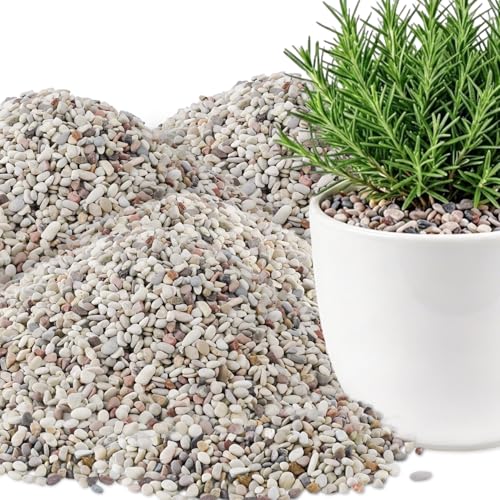 Image of 45lb Succulent and Cactus Gravel Pebbles, 1 /5 Inch Mixed Color Natural Rocks for Fish Tank, Indoor Plants, Aquarium, Vases, Landscaping