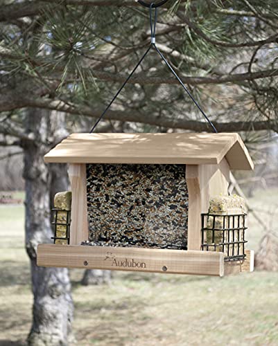 Woodlink Naranch3 12-Inch Audubon Cedar Ranch Wild Bird Feeder, Large #TOP1