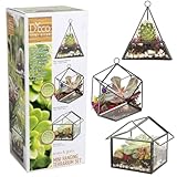 D'Eco Glass Mini Geometric Plant Terrariums 3 Pack - Triangle, House & Prism Planters for Spring Home Decor - Fill with Succulents, Cacti, Air Plants, Moss, Flowers for Plant Lovers