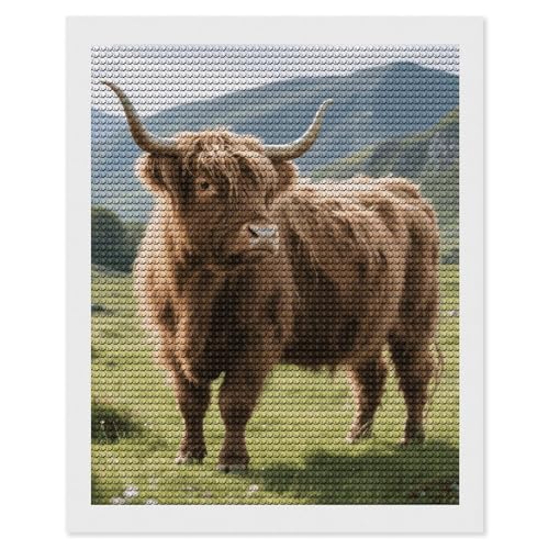 Kit d'art diamant vache d'Écosse maccbn, idée cadeau DIY idéale pour débutant et anniversaire