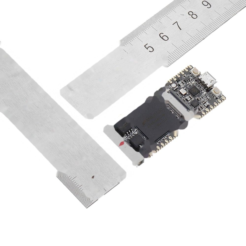 64 Mbit SDRAM wbudowany moduł FPGA Downloader Dual Flash RISC-V