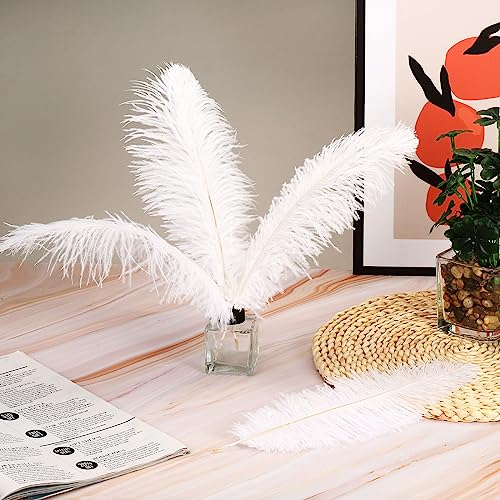 PATIKIL 100 Pcs Natural Ostrich Feathers Bulk 8-10 Inch/ 20-25 cm Large Ostrich Feathers for Crafts Home Decoration Wedding Party Vase Decor Centerpieces (White) - Image 4