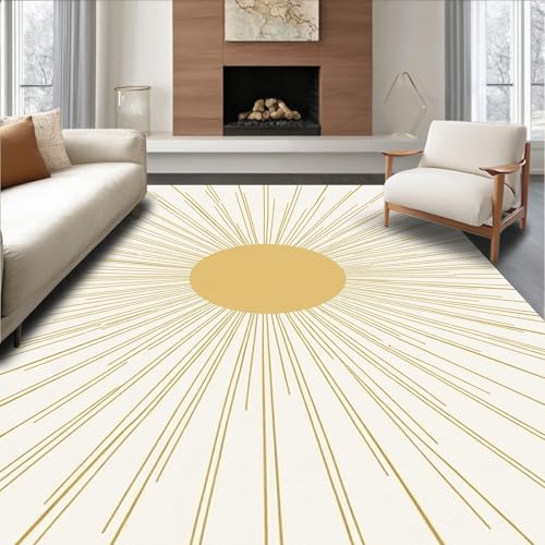 ODIKA Flatwoven High Traffic Area Rug 5x7, Minimalist Sunburst Medallion