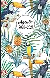 Agenda 2020-2021: Agenda scolaire de poche (Août 2020-Juillet 2021), 1 jour par pages, Collège, Lycée, Bureau, Organisateur hebdomadaire et mensuel, ... Couverture souple, 14 x 22 cm, 348 pages.