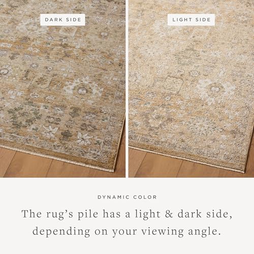 Loloi Magnolia Home by Joanna Gaines Pace Collection PAC-07 Sunset/Stone 9'-6" x 12'-3" Area Rug