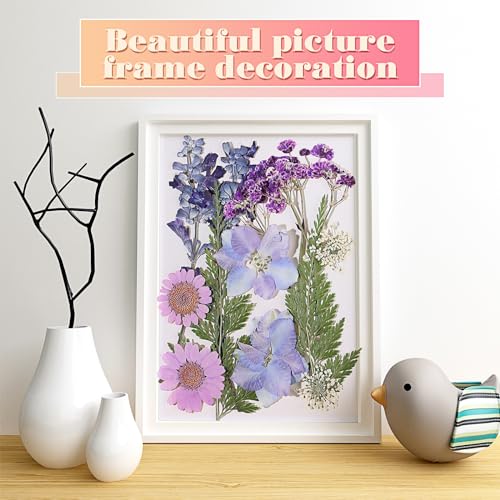 72 flores secas prensadas para manualidades DIY miniatura 6