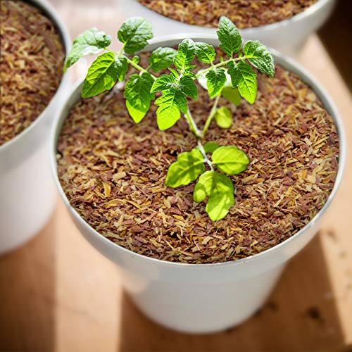 Wood Smith Usa 11 100% Natural Cedar Chips | Mulch thumb #6