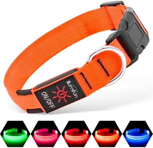 llumifun LED Hundehalsband, USB Leuchthalsband Hund, Wiederaufladbares Sicherheitslicht mit 3 Modi, verstellbar für Kleine Hundegrößen (Orange, S)