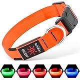 Illumifun LED Leuchthalsband für Hunde - USB-wiederaufladbar Leuchthalsband Hund, Wasserdicht & Größenverstellbar für Mittel Hunde (Orange, M)