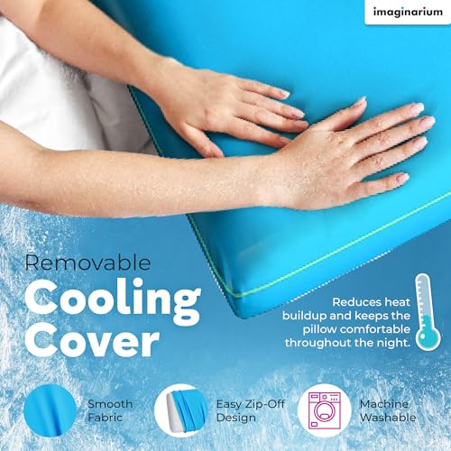 Image of Imaginarium Memory Foam Pillow for Bed - 16 inch x 24 inch Standard - Fun Decorative Colorful Pillow for Sleeping - Back, Stomach & Side Sleepers - Includes Cooling Cover (Party Pink)
