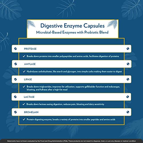 Terra Origin - Digestive Enzymes With Probiotics | Supports Healthy Digestion | Bromelain, Lactase, Amylase, Lipase | Made In The Usa, Gluten-Free | 60 Servings #TOP4