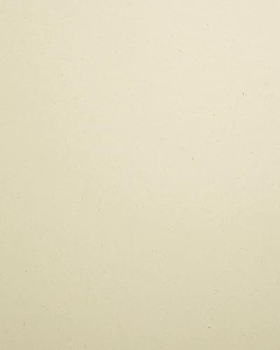 Vista 23 de Cardstock Warehouse Woodstock Betulla - Papel de cartulina de primera calidad, color blanco hueso, 12 x 12 pulgadas, 105 libras, 10.05 oz/m², 25