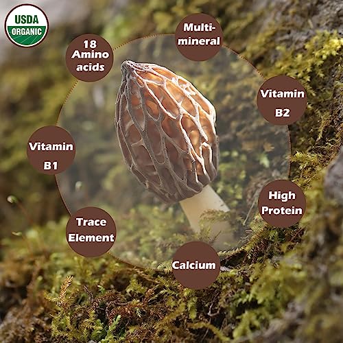 Vigorous Mountains Organic Dried Morel Mushrooms For Cooking thumb #2
