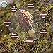 VIGOROUS MOUNTAINS Organic Dried Morel Mushrooms for Cooking, Intact Shapes, Short Stems with Rich Aroma Premium Dry Morels 1.5 oz