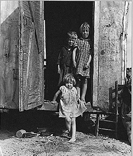 Learning to See: A Novel of Dorothea Lange, the Woman Who Revealed the Real America - Image 4