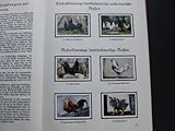  Der Kleintierzüchter