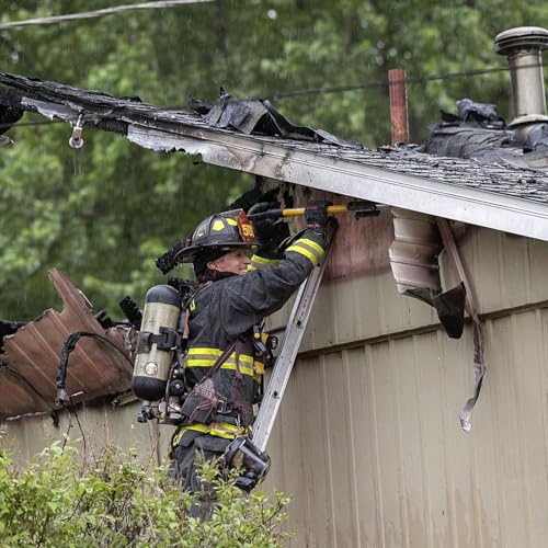 3 dogs rescued from Sterling house fire: fire officials