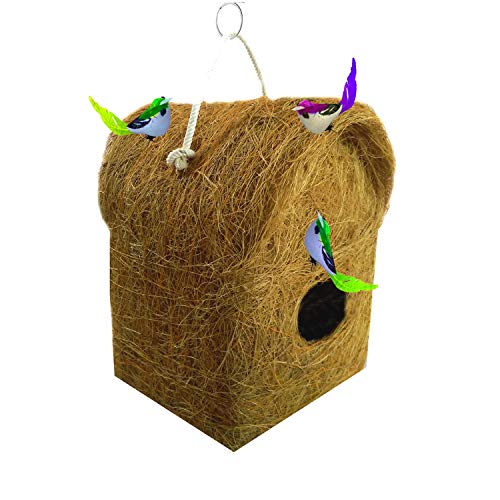 See full amazon price history chart for LIVEONCE Bird House with 3 Birds,Material Type -Coir, Color -Brown, Size (L 12 x W 12 X 20 cm),Pack of 1… LIVEONCE Bird House with 3 Birds,Material Type -Coir, Color -Brown, Size (L 12 x W 12 X 20 cm),Pack of 1… (B084STM37D) Amazon Price History, Amazon Price Tracker