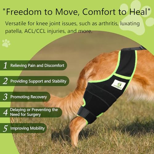 Image of Dog Knee Brace for Hind Legs with Extra Collar & Strap - Relieves Joint Pain & Discomfort, Enhances Mobility | Supports Recovery from Osteoarthritis, Torn ACL /CCL, Luxating Patella | Adjustable (S)