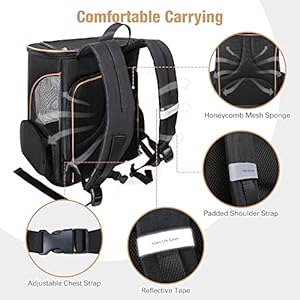 Lekereise Large Cat Backpack Carrier Expandable Pet Carrier Backpack for Small Dogs Medium Cats Fit Up to 18 Lbs, Dog Backpack Carrier, Foldable Puppy Backpack Carrier for Travel, Hiking, Black Lekereise Large Cat Backpack Carrier Expandable Pet Carrier Backpack for Small Dogs Medium Cats Fit Up to 18 Lbs Dog Backpack Carrier Foldable Puppy Backpack Carrier for Travel Hiking Black